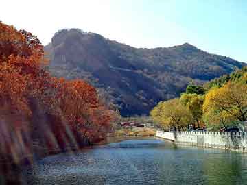 流氓鉴定师_流氓宗师简介