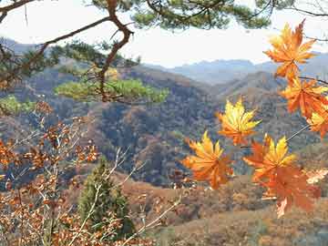 李江山_李江峰