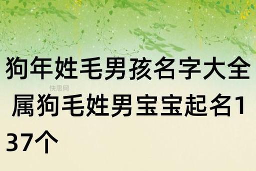 姓毛男宝宝取名大全_姓毛男宝宝取名大全两个字