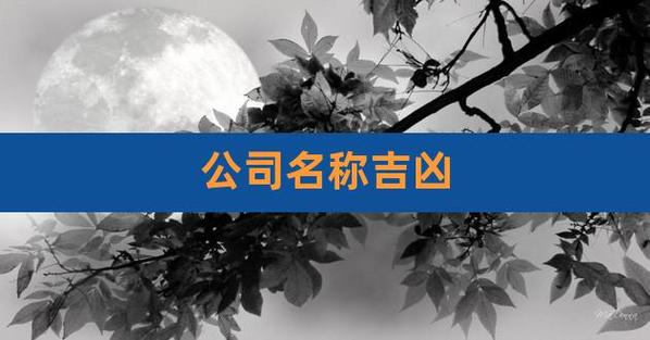 公司起名字测试是全名还是_公司起名字测试是全名还是姓名