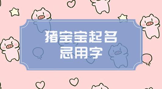 2019猪宝宝取名用字_