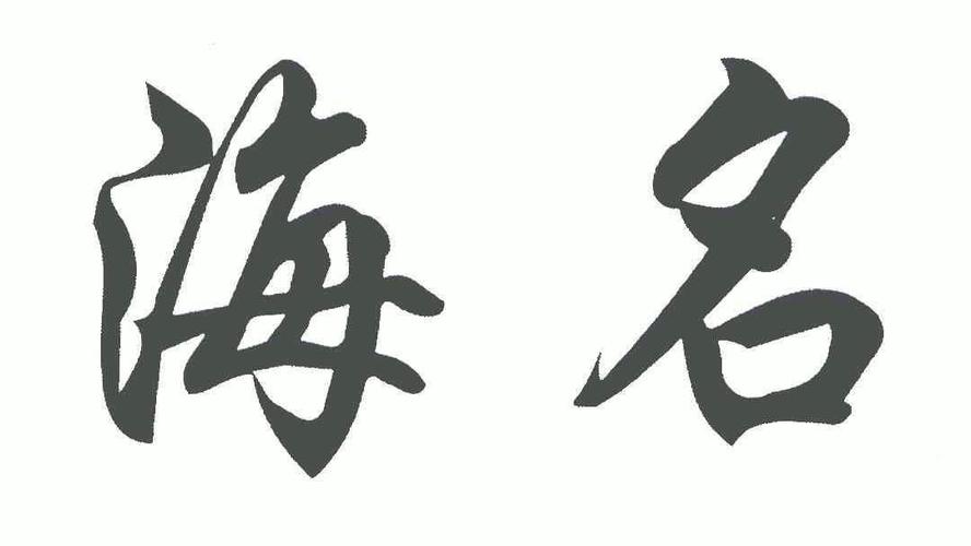 用海给公司起名字_