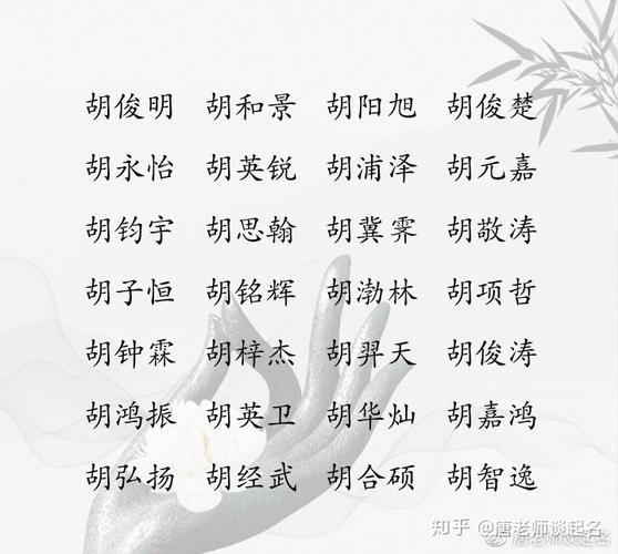 胡姓小宝宝取名字大全2015_