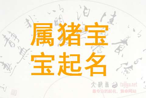 2019年月猪宝宝取名字_