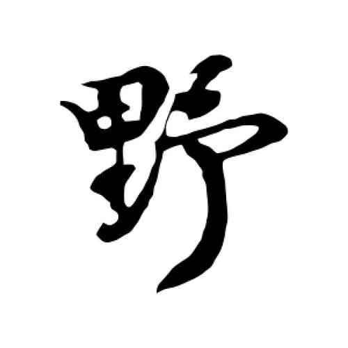 公司起名字带野字的_