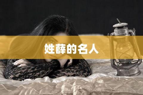 姓薛的名人_姓薛的名人有谁