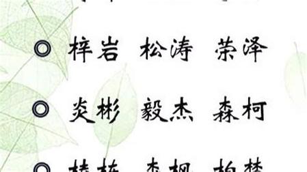 公司起名字属木的字大全_公司起名属木的字有哪些