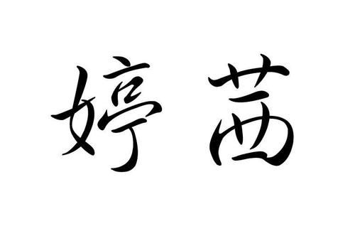 带婷字的店名_带婷字的店名有哪些