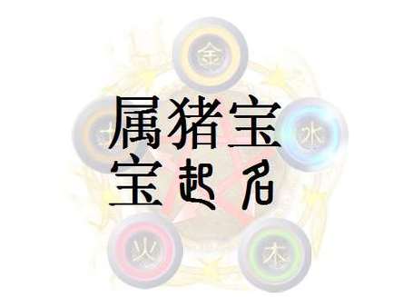 19年猪宝宝取名带艺字_