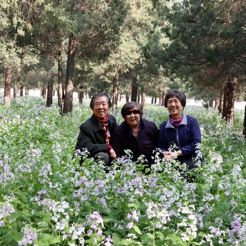 踏玻平原芳草绿，阳春二月有正气是什么生肖，落实精选解释