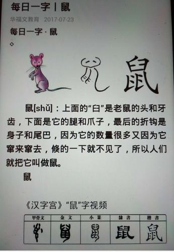 似真非真分不清，完奇不有鼠儿是指什么生肖，词语解释落实