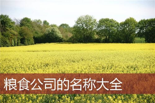 粮食公司起名字_粮食公司起名字大全免费