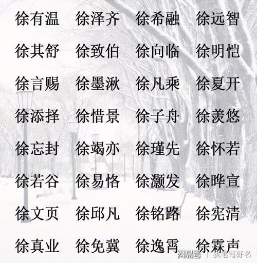 徐姓带金的女宝宝取名字_