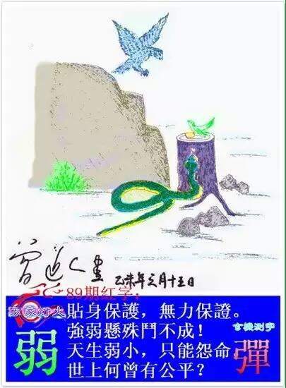 线抽傀儡是什么生肖，落实精选答案