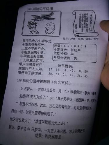 小偷小摸是什么生肖，落实精选答案