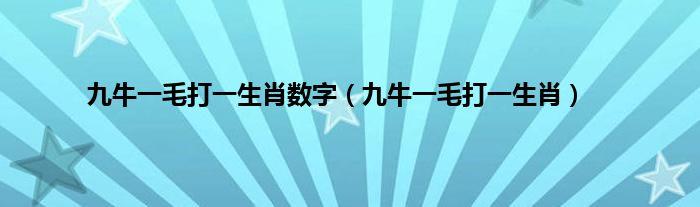 九牛一毛是什么生肖，落实精选答案