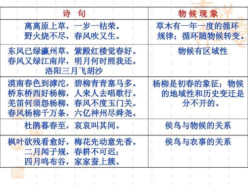 春风杨柳鸣金屋是指什么生肖，落实精选答案