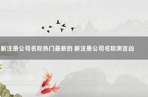 公司起名字不能重复吗_