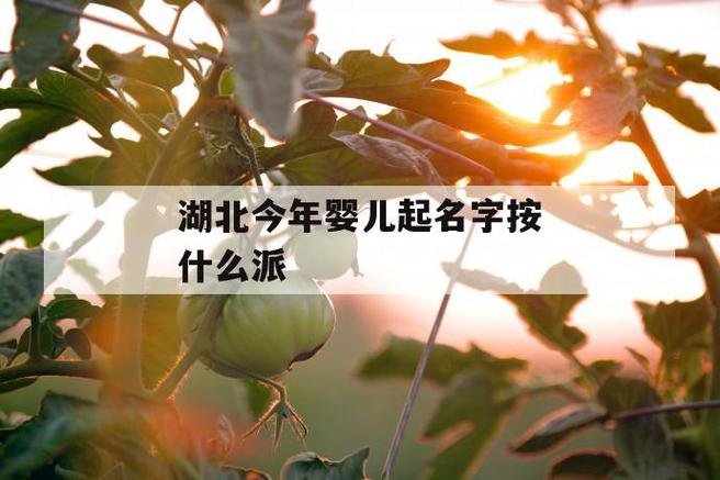 宝宝取名叶一后面加个什么字好听_叶一这个名字好不