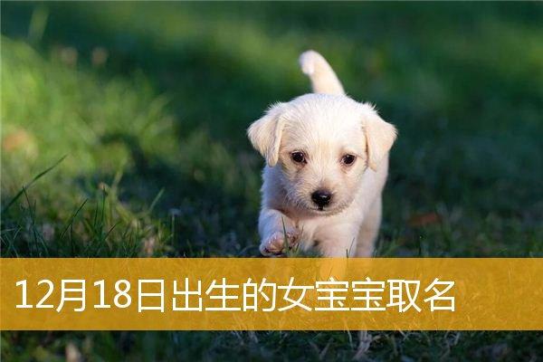 2019年姓江狗宝宝取名_