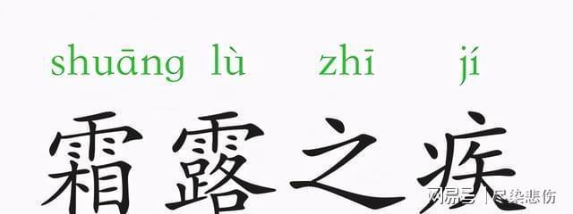 霜露之疾代表是指什么生肖，精选词语落实