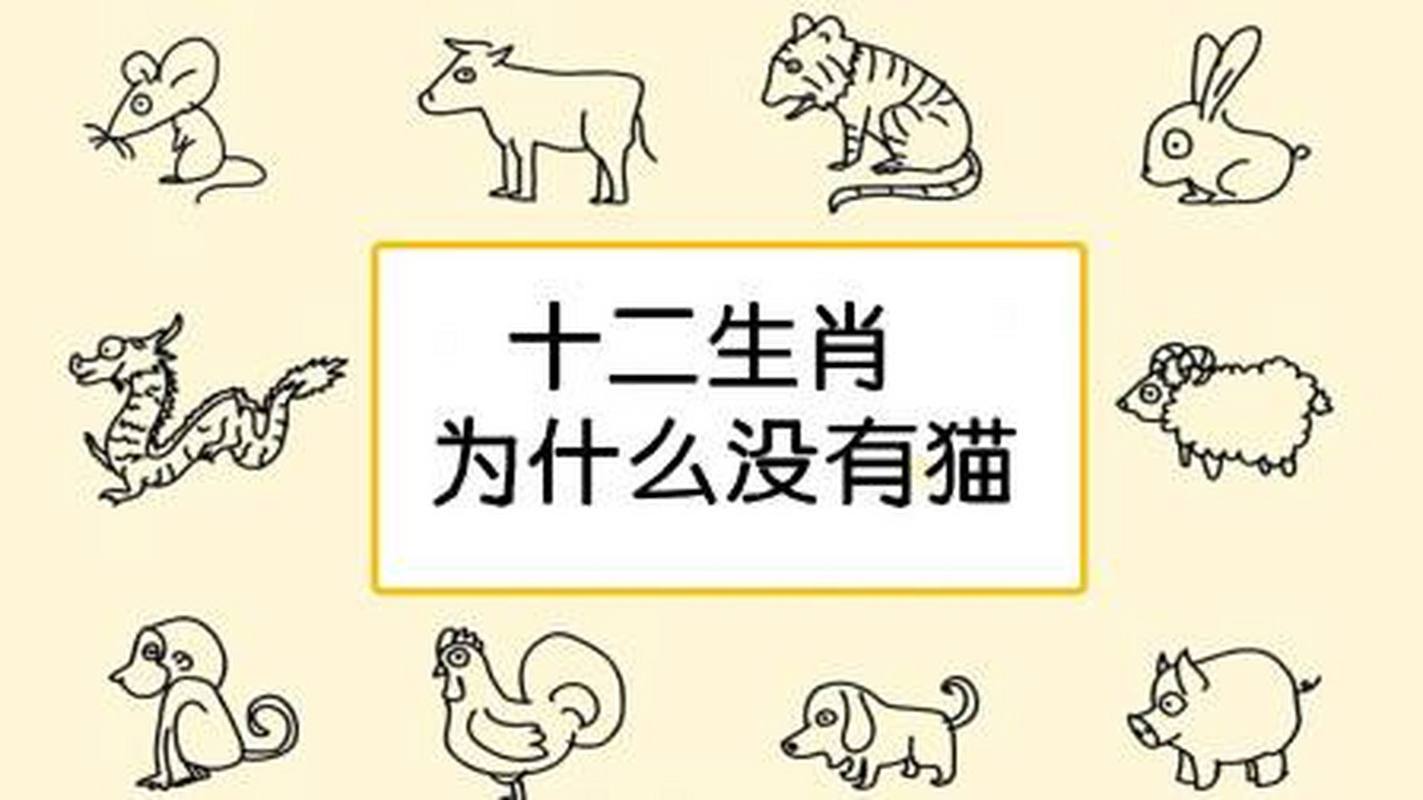 大小猫是什么生肖，词语解释落实