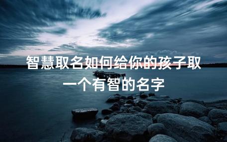 宝宝取名智什么意思是什么意思是什么_取名智的含义