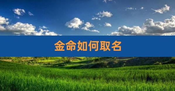 金命公司起名字_金命公司适合起什么名字