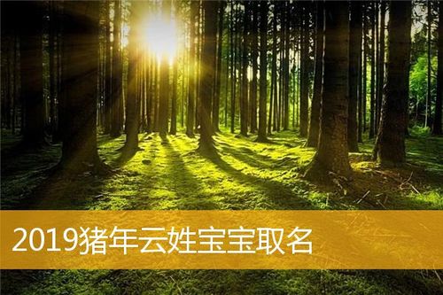 2019年猪年宝宝取名注意事项_2019年猪年宝宝取名注意事项有哪些