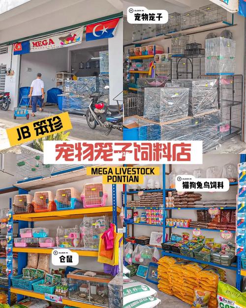 宠物用品公司起名字_宠物用品公司起名字推荐