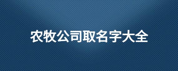 数字平台公司起名字_数字平台公司起名字怎么起