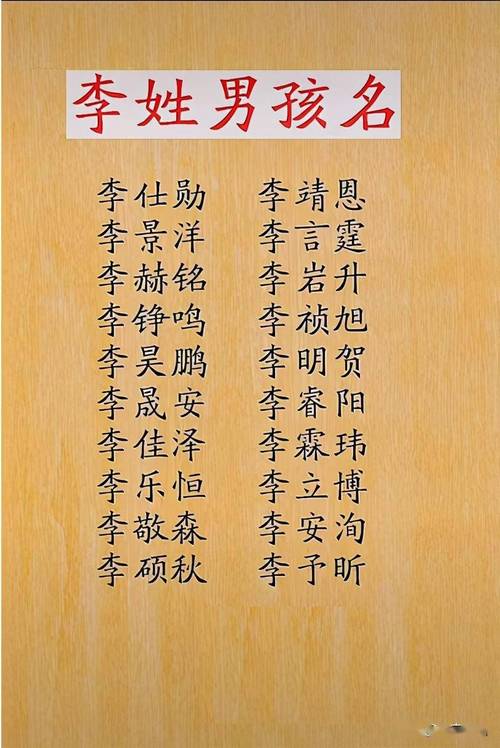 宝宝取名字李男孩名字大全_宝宝取名字李男孩名字大全四个字