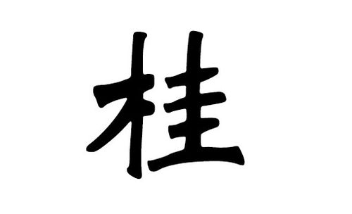 桂字开头宝宝取名_桂字开头宝宝取名大全