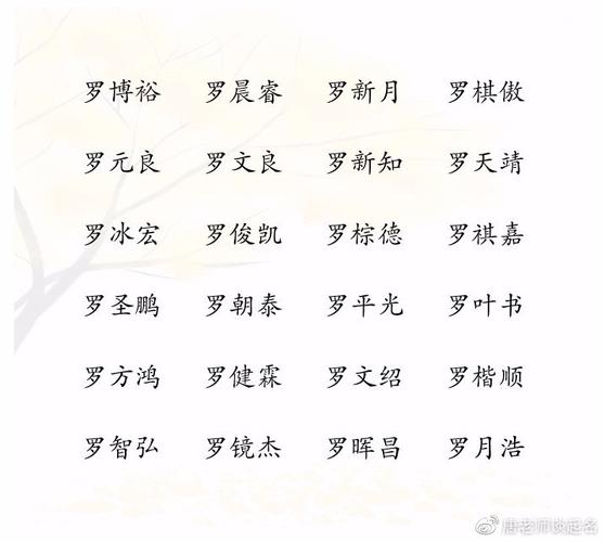 罗姓男宝宝取名四个字的名字大全_罗姓男宝宝取名四个字的名字大全集