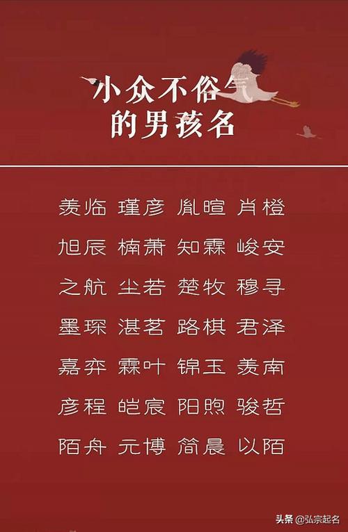 男宝宝取名兴什么意思_男孩名字兴什么好听