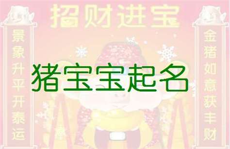 2019年猪宝宝取名宜用字解释_2019年猪宝宝取名宜用字解释是什么