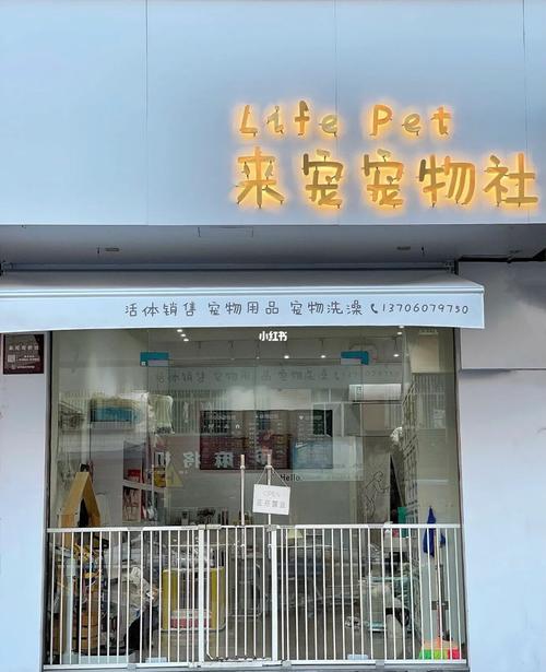 高端宠物店名_高端宠物店名字