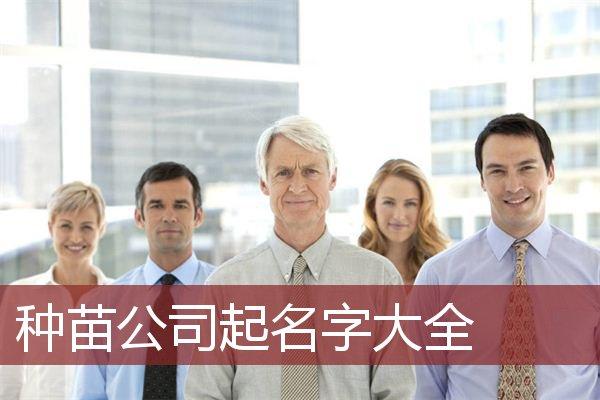 种子公司起名字大全_种子公司起名字大全免费