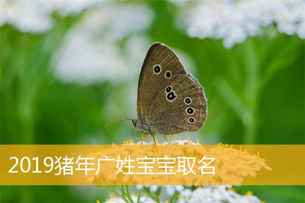 猪年6月出生的宝宝取名_猪年6月出生的宝宝取名字