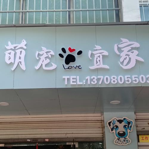 宠物店名重复没事吗_宠物店名字可以跟别人重复吗