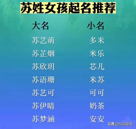 苏姓宝宝取名大全男孩名字大全2015款_苏姓宝宝起名大全男孩