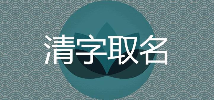 用清字给公司起名字_用清字给公司起名字好吗