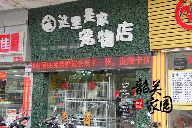 宠物起店名_