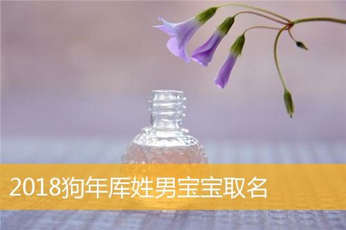 狗年宝宝取名用哪些字_狗年宝宝取名用哪些字好