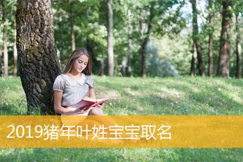 猪年女宝宝取名大全2019款_猪年女宝宝取名大全2019款四个字