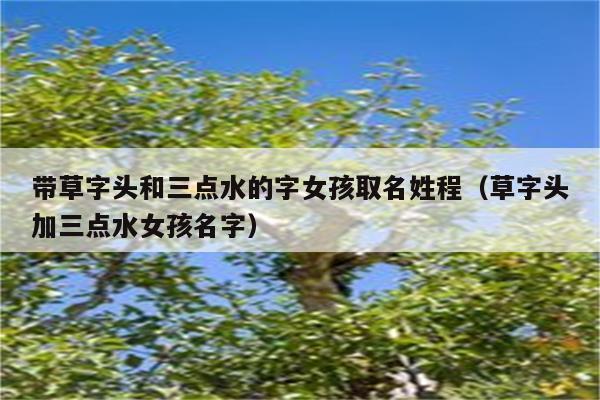 给宝宝取名带三点水的_给宝宝取名带三点水的字