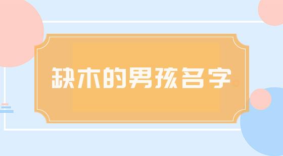 缺木的男宝宝取名字大全集_缺木的男宝宝取名字大全集四个字