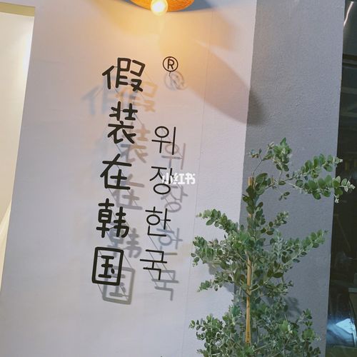 洋气店韩店名_韩国店名大全