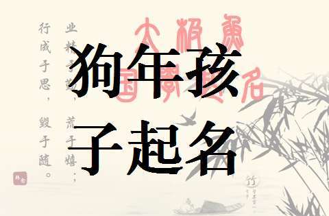 宝宝取名狗_狗宝宝取名字