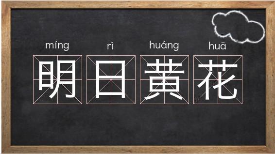 明日黄花是什么意思_明日黄花是什么意思解释词语